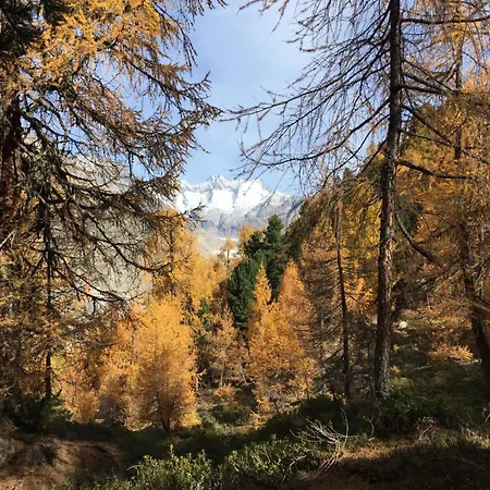 Amici 1- Stock Allegra By Interhome * Riederalp