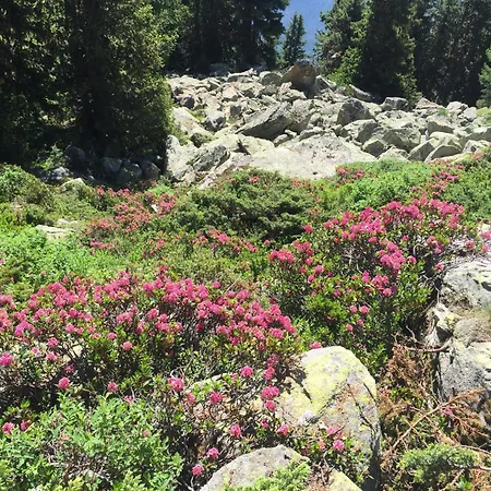 아파트 Amici 1- Og West By Interhome 리더알프