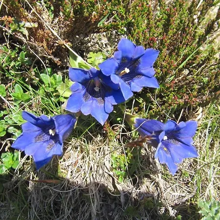 아파트 Amici 1- Og West By Interhome *