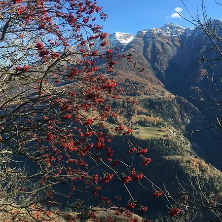 Amici 1- Og West By Interhome * 리더알프