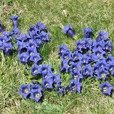 Amici 1- Og West By Interhome 아파트 *