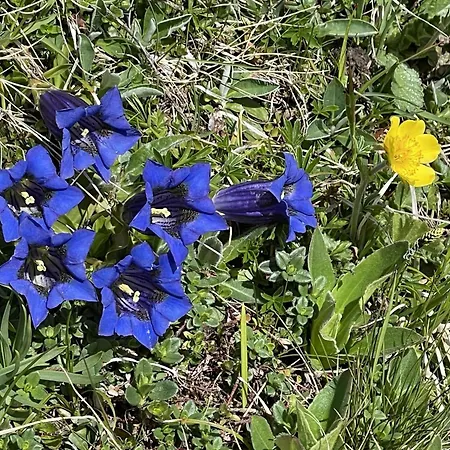 Amici 1- Og West By Interhome