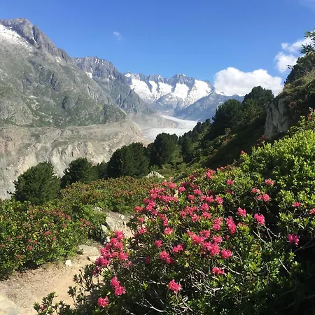 아파트 Amici 1- Og West By Interhome 리더알프