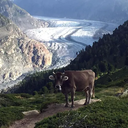 Amici 1- Og West By Interhome شقة ريرالب