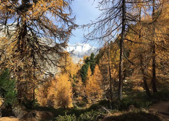 Amici 1- Og West By Interhome * Riederalp