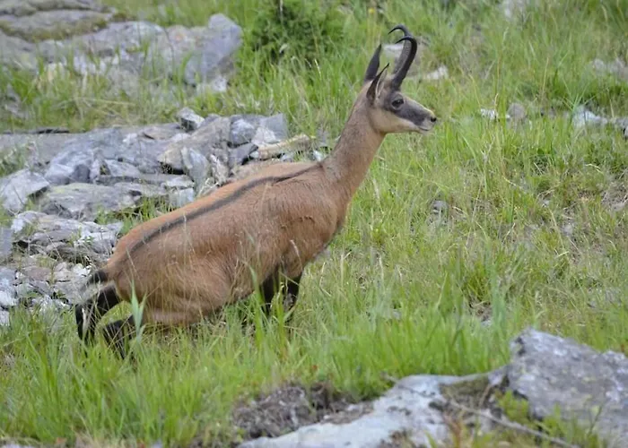 Amici 1- Og West By Interhome شقة ريرالب