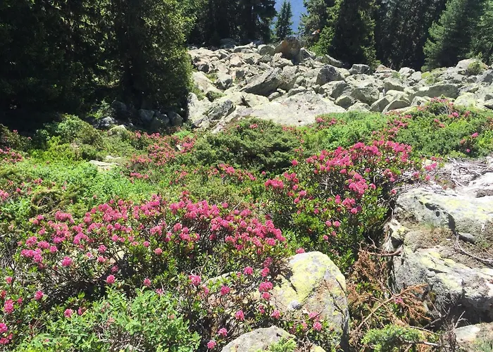 شقة Amici 1- Og West By Interhome ريرالب