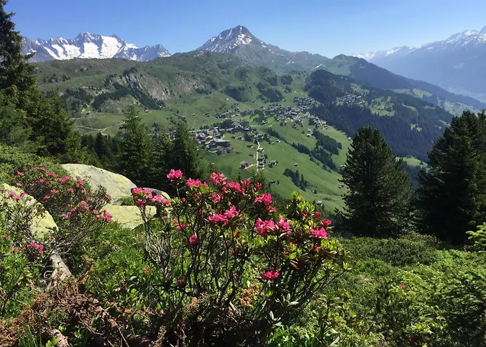 Amici 1- Og West By Interhome شقة *