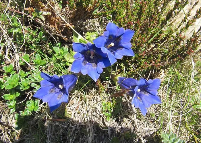 شقة Amici 1- Og West By Interhome *