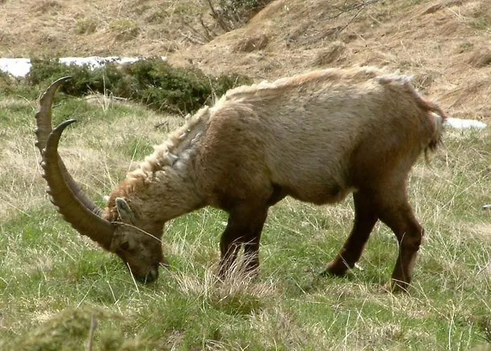 شقة Amici 1- Og West By Interhome ريرالب