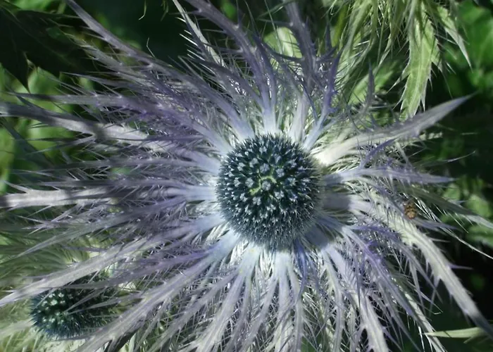 Amici 1- Og West By Interhome *