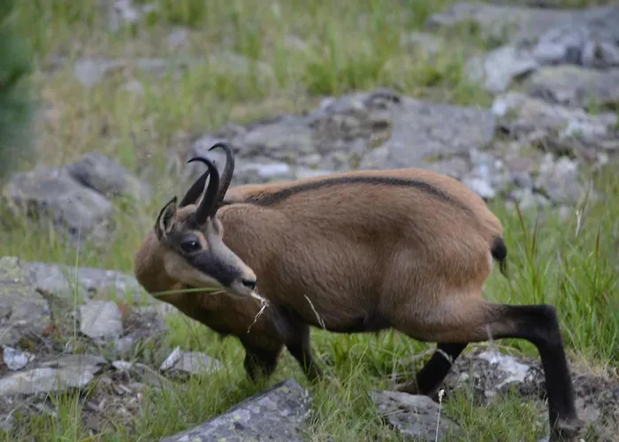 شقة Amici 1- Og West By Interhome