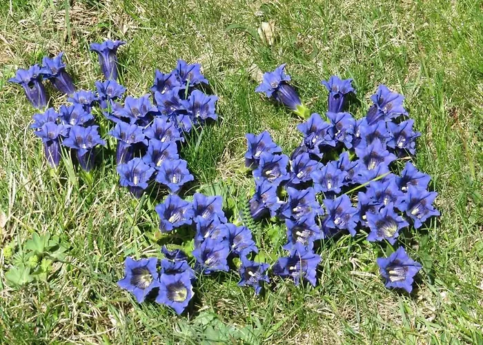 Amici 1- Og West By Interhome شقة *