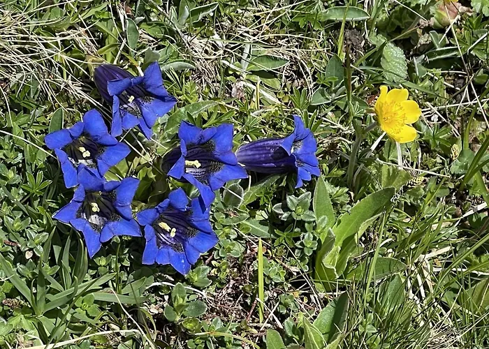 Amici 1- Og West By Interhome