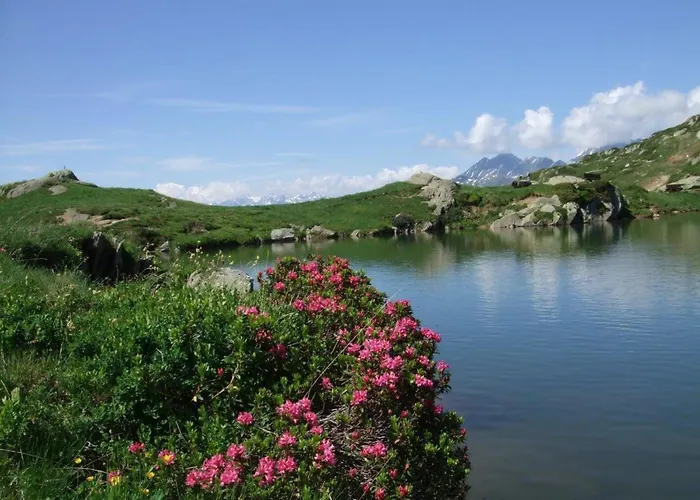 Amici 1- Og West By Interhome Lejlighed Riederalp