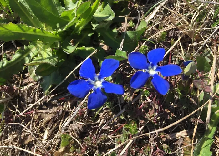 Amici 1- Og West By Interhome شقة ريرالب