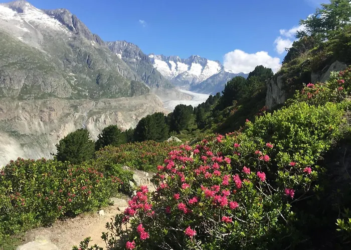 شقة Amici 1- Og West By Interhome ريرالب