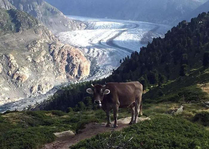 Amici 1- Og West By Interhome شقة ريرالب