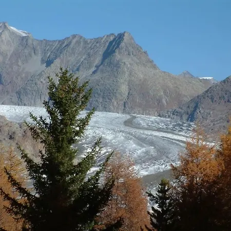 Amici 1- Og West By Interhome شقة