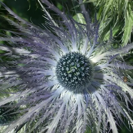 Amici 1- Og West By Interhome *