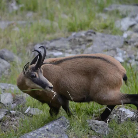 شقة Amici 1- Og West By Interhome