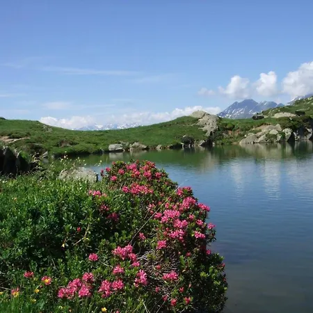 Amici 1- Stock Allegra By Interhome Apartment Riederalp