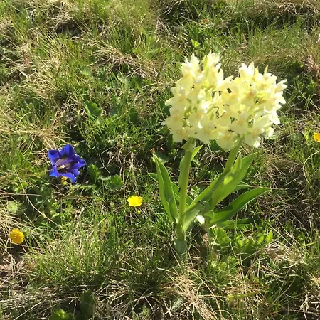 Amici 1- Og West By Interhome ريرالب